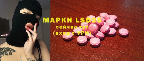 ешки Корсаков