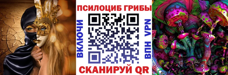 Псилоцибиновые грибы Cubensis  где продают   Череповец 
